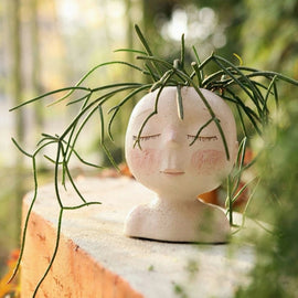 New Creative Face Flower Head Planter Pot